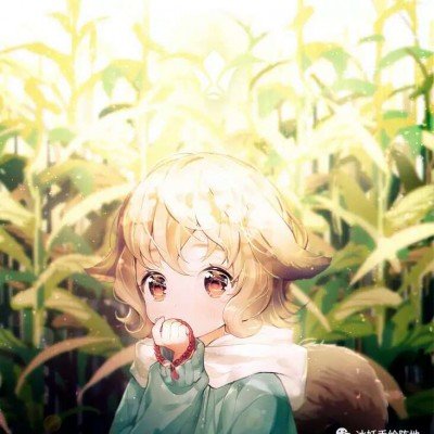 猪价跌穿5元 排骨为何还卖20元